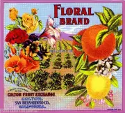 Colton San Bernardino Floral Orange Citrus Fruit Crate Box Label Art Print