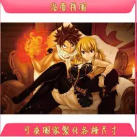 在飛比找蝦皮購物優惠-【洛萱拼圖】FAIRY TAIL 魔導少年【1-8號】木質拼