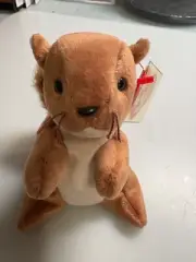 Vtg -Rare Ty Beanie Baby Nuts the Squirrel with PVC Pellets. - 04114