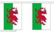 WALES FLAG BUNTING 9 metres 30 flags WELSH DRAGON CYMRU