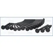 Austral Cylinder Head Bolt Set - 81019000
