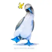 Canvas Art Print Nursery Animals Blue-Footed Boobie Bird 20 X 24 Butterfly Wall