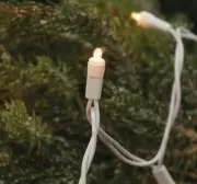 Warm White Micro Lights, 20 Count, White Cord, Teeny Lights