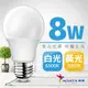 【ADATA威剛】8W 大廣角高亮度LED燈泡 (白光/黃光)