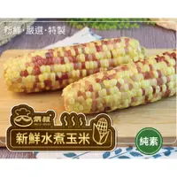 在飛比找PChome24h購物優惠-【炳叔烤玉米】水煮玉米20支(200g/支)