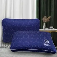 在飛比找蝦皮商城優惠-【Hilton 希爾頓】負離子石墨烯6D能量健康枕