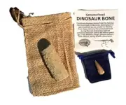 Genuine Fossil Dinosaur Bone & Genuine Fossil Spinosaurus Dinosaur Tooth by
