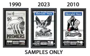 AFL PREMIERS COLLINGWOOD MAGPIES PREMIERSHIP 2023 2010 FRAMED MEMORABILIA