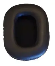 Foam Earpiece Helmet XP WS5
