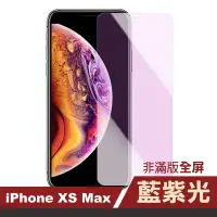 在飛比找Yahoo奇摩購物中心優惠-iPhoneXSMax 藍紫光高清非滿版手機9H保護貼 iP