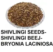 SHIVLINGI SEEDS-SHIVLINGI BEEJ-BRYONIA LACINIOSA WHOLE SEEDS INDIAN HERBS