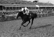Ben Nevis 1980 Grand National Win 1 Horse Racing Old Photo