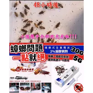 一點絕 30g 5g 凝膠餌劑 蟑螂 除蟑 滅蟑 蟑螂藥 蟑螂屋 小強絕 螞蟻絕 T174 速克力 興家安速 果蠅 蒼蠅