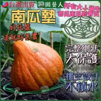 在飛比找蝦皮購物優惠-【園藝人 現貨加大】南瓜墊 園藝 西瓜 栗子南瓜 貴族南瓜 