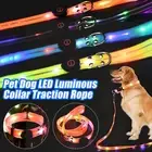 Dog LED Luminous Collar/Lead Rope Night Light Up Glow Rechargable Pets Safety