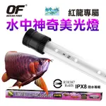 新加坡仟湖 龍魚增豔燈 -LED超強神奇 美光水中燈 過背金龍專用 (143CM/5尺) 特價