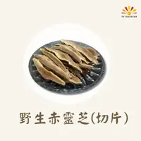 在飛比找蝦皮商城精選優惠-【亞源泉】野生赤靈芝500g(切片)