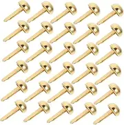 TIDTALEO 100pcs Decorative Nails Kit Frame French Tip Nails Hooks Crafts Cubicle Fasteners False Nails Removable Tape Rivets Transparent Thumbtacks Buttons Display Press Nails Golden Alloy