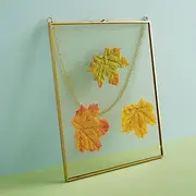 Floating Picture Frame, Wall Picture Frame for Pressed Flower, Horizontal or Vertical Hanging Frame, Double Clear Glass Floating Photo Frame with Metal Chain for Artwork Display (Vertical version)