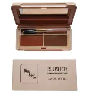 Mary Kay Blusher Duo Cinnamon Mahogany .32 Oz New In Box