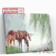 Paint By Numbers Kit Horse Animal Home Canvas Wall Brush Beginner Adult Draw DIY