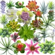 Artificial Succulent Plants 24 Pack Fake Succulents Unpotted Realistic Faux