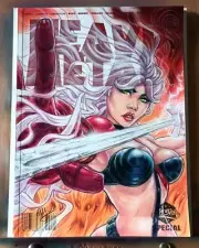 Taarna Heavy Metal Original Art Variant By Neal Jones!