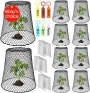 10 Pcs Chicken Wire Plant Covers, Heavy Duty Animal Protectors (9.13×9.13 In).