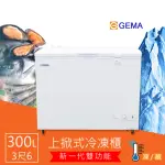 【GEMA 至鴻】300L 冷凍冷藏兩用冷凍櫃 密閉式3尺6 臥式冰櫃 日本品質規範商品(BD-300)