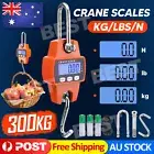 Mini Portable Crane Scale 300kg 0.1kg LCD Digital Electronic Hook Hanging ScaleA