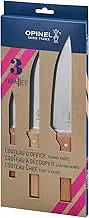 Opinel Parallele S/S 3pc Knife Set (Paring 8cm Chef 20cm Carving 16cm)