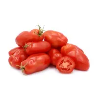 在飛比找蝦皮購物優惠-San Marzano tomatoes 聖馬札諾番茄 種子