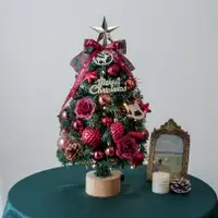 在飛比找樂天市場購物網優惠-新款聖誕樹小迷你帶燈發光桌面套餐聖誕樹擺件家用布置裝飾 全館