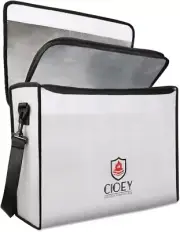 Portable Fireproof Safety Bag - Easy Access, Travel-Friendly Storage Solution