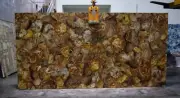 Natural Petrified Agate Dining Counter Slab, Luxury Stone Office Counter Decors