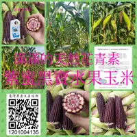 在飛比找蝦皮購物優惠-《免運費》紫蜜水果玉米10斤550元《無農藥殘留報告》