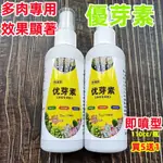 特價園藝優芽素 多肉通用型營養液 100CC/瓶 買5送1 多肉肥料 複合營養 增肥增色爆芽 細胞分裂促芽促生長矮胖側芽