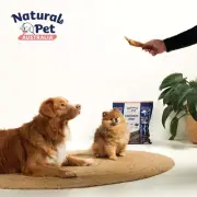 Premium Chicken Breast Jerky-100% Natural and Healthy Dog Treats,Best Dog Chews