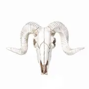 Wall Hanging Resin Ram Skull Ornament Sheep Head Animal Art Sculpture Decorations