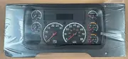 FREIGHTLINER Cascadia Instrument Cluster A22-76209-100