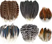 60Pcs Natural Turkey Feathers, Pheasant Feathers, Spotted Feathers, Duck Feather