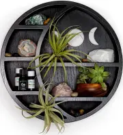 Crescent Moon Shelf for Crystals Stone, Essential Oil, Small Plant and Art - Wal