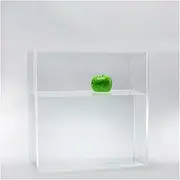 Acrylic Props Shooting Tray, Photography Shooting Tank Acrylic Display Case Storage Multiple Sizes 5mm Thick(40x20x20cm(15.7x7.9x7.9in))
