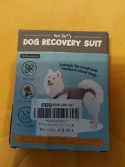 Grey Medium Recovery Suit For Dogs Rest-Eazzy