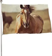 Horse on The Grassland Flag 24x35 in Double Sided Printed Garden Flag Decorative Banner No Fade Yard Flag with Brass Grommets Hanging Photo Backdrop for Indoor Outdoor Party Home Decor