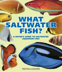 在飛比找誠品線上優惠-What Saltwater Fish?: A Buyer'