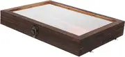 GRIRIW Specimen Display Case Vintage Specimen Collection Box with Lid for Dried Flowers Insects and Crafts Decorative Storage Display for Home and Office Carbon Color
