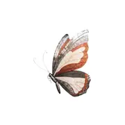 Darlin Capiz/Metal 64x70cm Giant Butterfly Wall Art Hanging Home Decor Brown