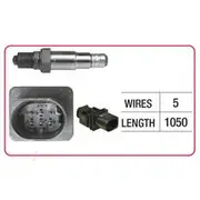 RAE Oxygen Sensor - OX809