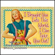 Fridge Fun Refrigerator Magnet "I BROUGHT YOU INTO THIS WORLD..." Retro Funny